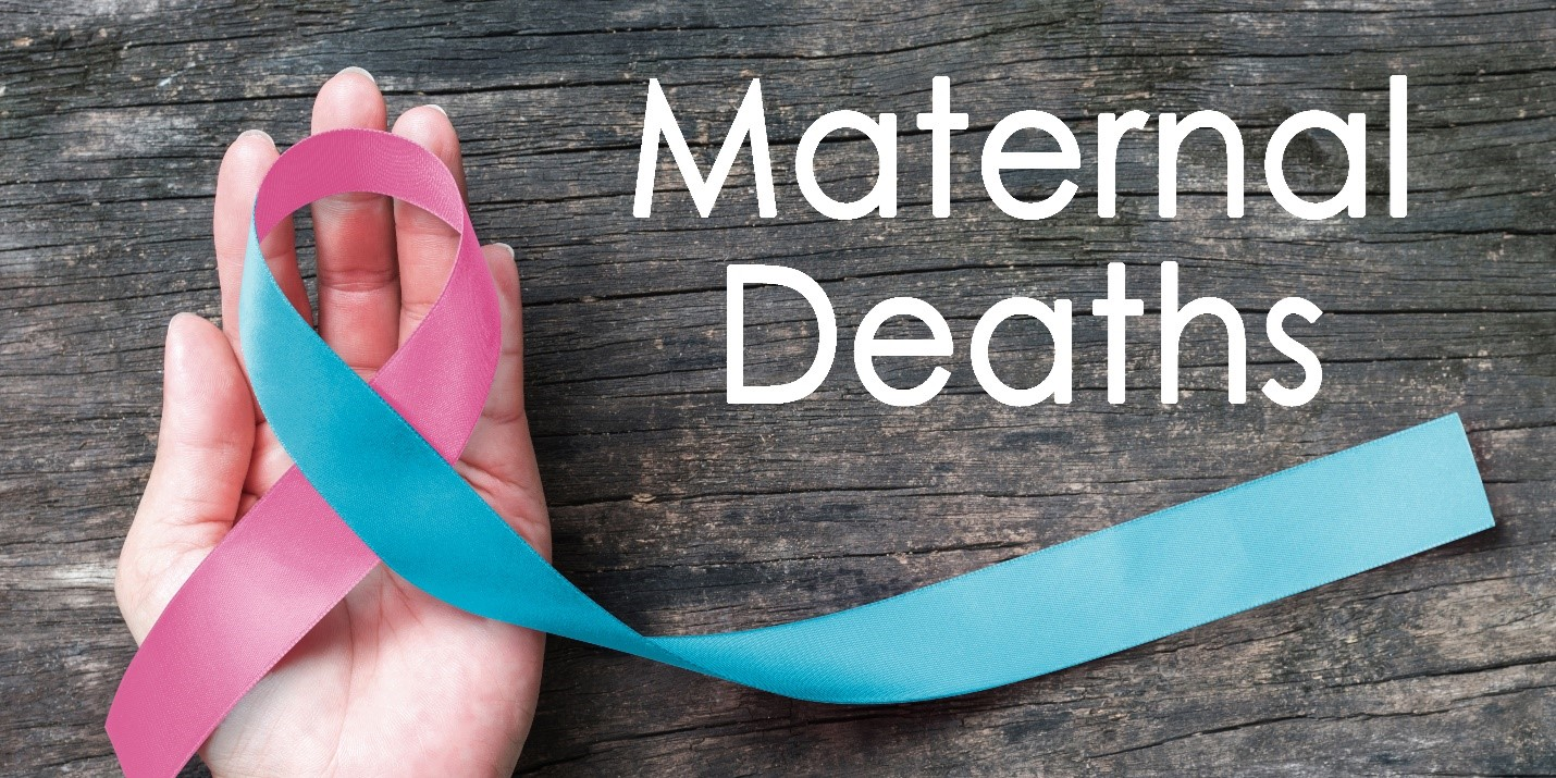 Preview of a chart for Maternal Mortality and Morbidity Review Committee (MMMRC)